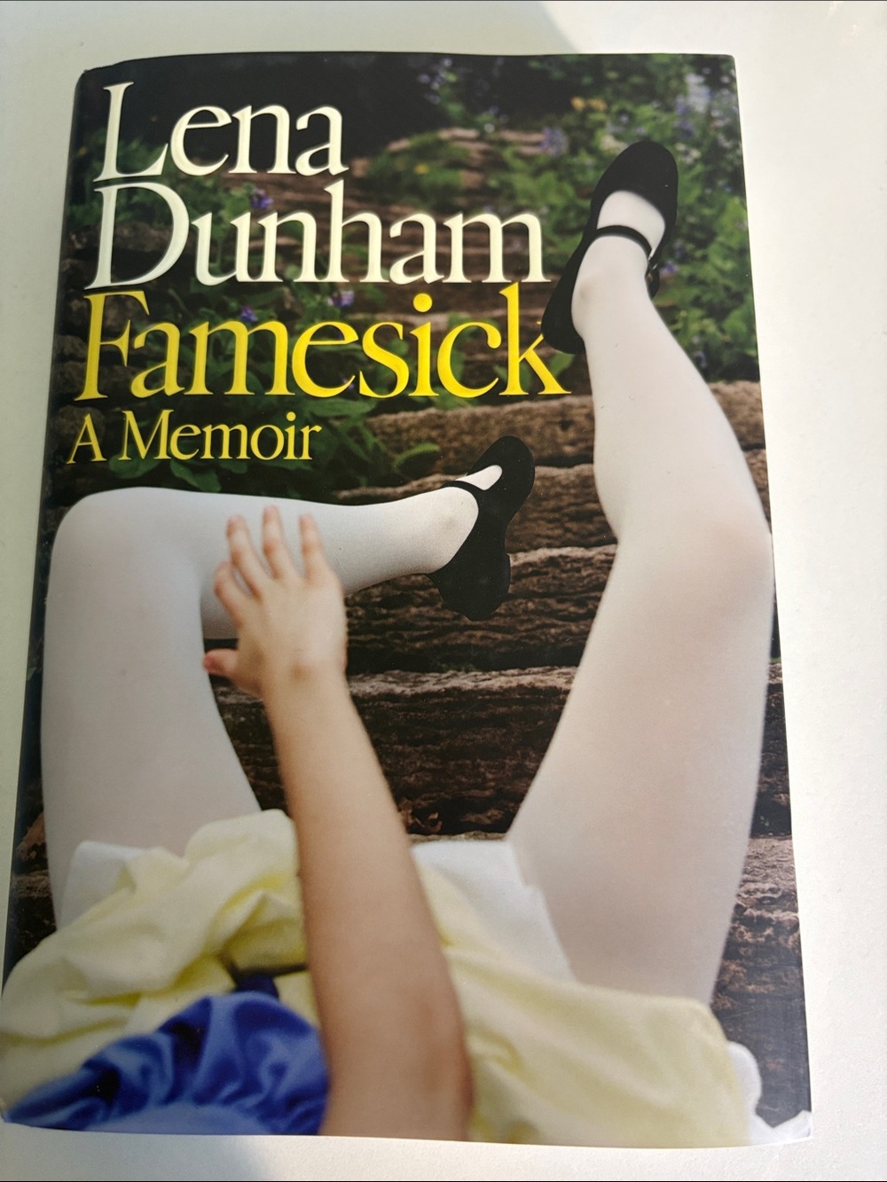 Lena Dunham: Fame Sick A Memoir